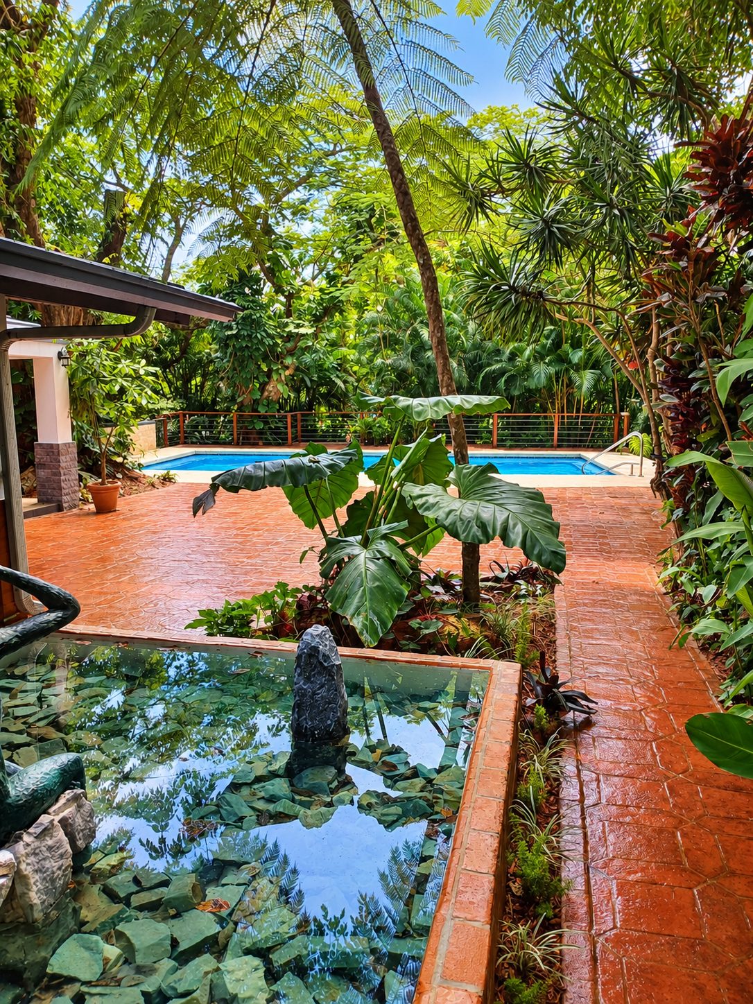 Jardín de Rosaura con plantas grandes, una fuente y la piscina al fondo